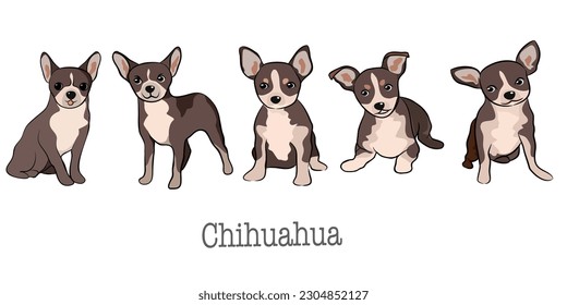 perro, fondo, icono, vector, diseño, bebé, aislado, vintage, arte, mano, ilustración, caricatura, blanco, animal, línea, negro, cara, personaje, retrato, niño, lindo, gráfico, boceto, doodle, plano, drawi