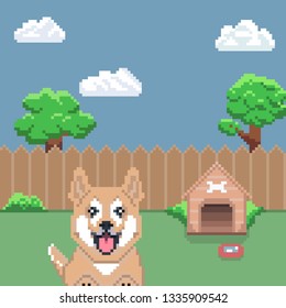 
Dog In The Backyard 8 Bit