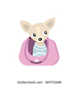 Dog in Bag