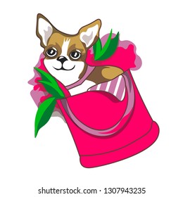 dog in bag - vector illustration with cute and funny chihuahua sitting in bag  with flowers- Vector
