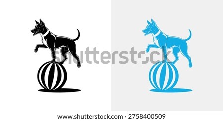 Dog balancing on striped ball in black and blue balance