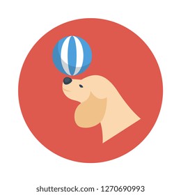 dog  ball  circus  
