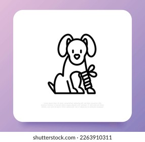 Dog in bandage with broken leg. Thin line icon. Veterinary clinic. Vector illustration.
