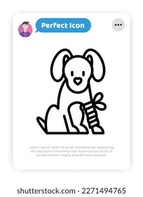 Dog in bandage with broken leg. Thin line icon. Veterinary clinic. Vector illustration.