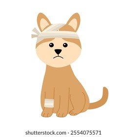 Dog with bandage on injured leg and head cartoon vector illustration