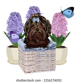 Dog in a basket. easter card.   Vector illustration.