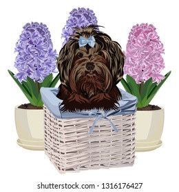 Dog in a basket. easter card.   Vector illustration.