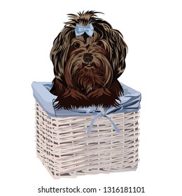 Dog in a basket. Vector illustration. Isolated on a white background.