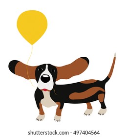 dog Basset Hound with a balloon isolated on white background.