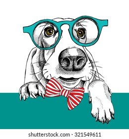 Dog Basset Hound portrait in a glasses and with tie. Vector illustration.