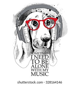 Dog Basset Hound portrait in a headphones. Vector illustration.