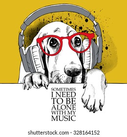 Dog Basset Hound portrait in a headphones on yellow background. Vector illustration.