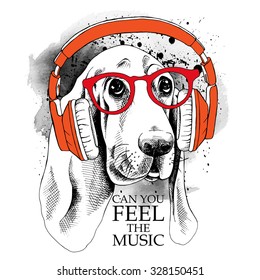 Dog Basset Hound portrait in a red headphones. Vector illustration.