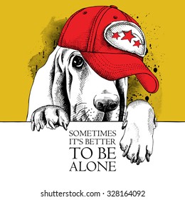 Dog Basset Hound portrait in a red cap on yellow background. Vector illustration.