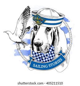 Dog Basset Hound portrait in a sailor's cap and with seagull on blue striped background. Vector illustration.