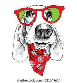 Dog Basset Hound portrait in a sunglasses and cravat. Vector illustration.