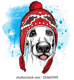 Dog Basset Hound in a red winter long knit hat on blue background. Vector illustration.