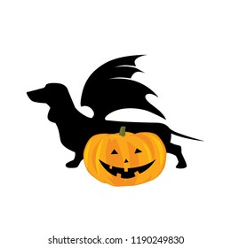 Dog with bat wings and Halloween pumpkin, vector illustration