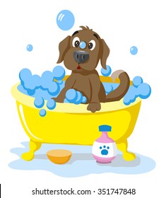 Dog Bath