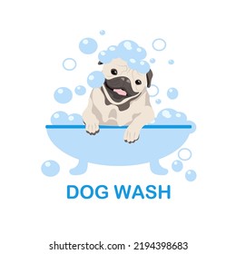 Dog Pug Washing in the Bath with soap foam. Grooming Concept. Vector Cartoon Style Illustration.