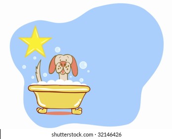 dog bath labrador