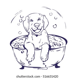 Dog bath sign in graphic style vector  illustration.  Dog bathing drawing. Dog bath silhouette in hand drawn.