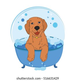 Dog bath vector illustration. Cute cartoon dog bathing  in a bubble bath. Dog bathing drawing. Hand drawn Dog bath isolated on white background.  Pet wash vector.