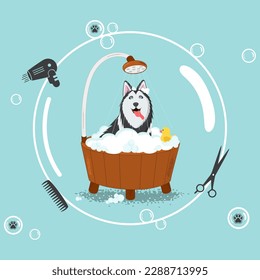 The dog bathes in a bubble bath. Grooming