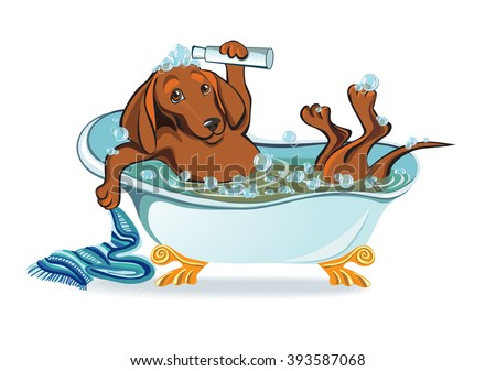 dog bathing, dachshund lying in the bath with bubbles