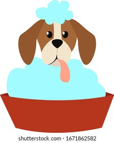 Dog bathing, illustration, vector on white background.