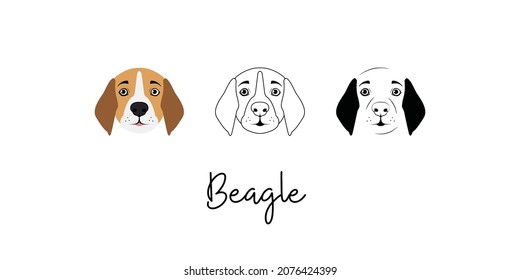 Dog Beagle. Hand drawn sketch of dog head, vector. Beagle set. Collection of pedigree dogs. Black white illustration of a beagle dog. Vector drawing of a pet. Poster, postcard.