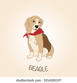 Dog Beagle isolated on beige gradient background with red scarf. Vector Illustration.