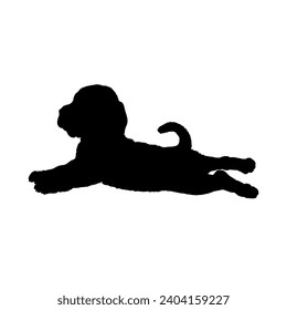 Dog Beagle lies puppy  silhouette Breeds Bundle Dogs on the move. Dogs in different poses. High quality 
The dog jumps,  runs. sitting. The dog is lying down playing