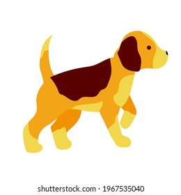 dog. beagle puppy. hunting dog. stock vector illustration isolated on white background.