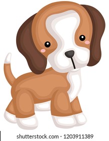 a dog with a beagle pure breed 