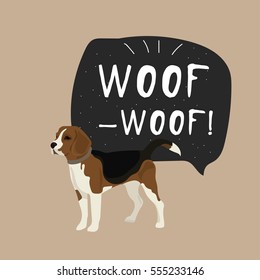 Dog beagle vector illustration with hand drawn banner