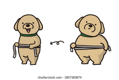 The dog before and after weight loss.