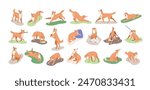 Dog behavior, canine activities set. Doggy playing, training, feeding, running, sleeping. Pet animals life, different poses, stances, actions. Flat vector illustrations isolated on white background