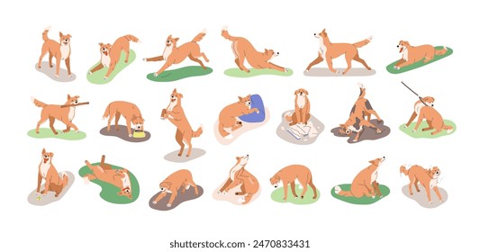 Dog behavior, canine activities set. Doggy playing, training, feeding, running, sleeping. Pet animals life, different poses, stances, actions. Flat vector illustrations isolated on white background