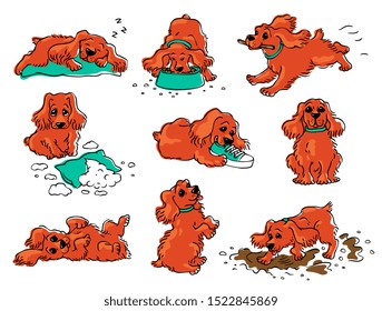 Dog behavior drawing set - cartoon orange puppy sleeping, eating, playing, lying in different positions. Good and naughty behaviour examples - isolated vector illustration.