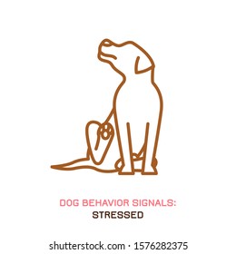 Dog behavior icon. Domestic animal or pet language. Scratching. Stress release. Doggy reaction. Simple icon, symbol, sign. Editable vector illustration isolated on white background   