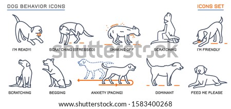 Dog behavior icons set. Domestic animal or pet language collection. No threat from my side. Happy doggy reaction. Simple icon, symbol, sign. Editable vector illustration isolated on white background