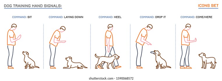 Dog behavior icons set. Professional trainer. Domestic animal or pet language. Commands. Training process. Simple icon, symbol, sign. Editable vector illustration isolated on white background