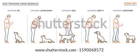 Dog behavior icons set. Professional trainer. Domestic animal or pet language. Commands. Training process. Simple icon, symbol, sign. Editable vector illustration isolated on white background
