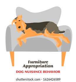 Dog behavior problem icon. Domestic animal or pet language. Sleeping terrier. Furniture appropriation. Peaceful terrier. Simple icon, symbol, sign. Vector illustration isolated on white background