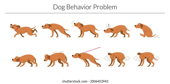 Dog Behavior Problem Set, Aggressive, Fear, Stubborn and Biting Tail