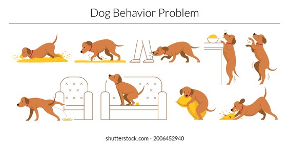 Dog Behavior Problem Set, Digging, Destroying, Biting, Jumping, Pee and Poop