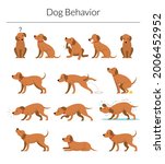 Dog Behavior Set, Various Action and Posture, Body Language