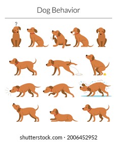 Dog Behavior Set, Various Action and Posture, Body Language