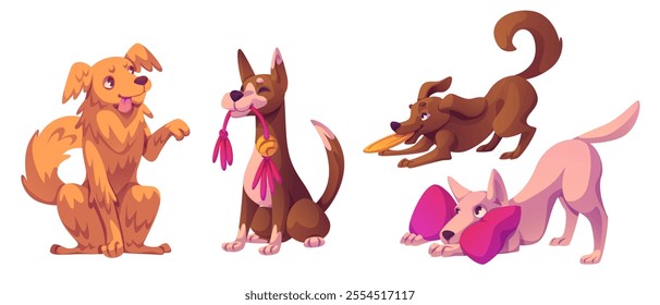 Dog behavior vector set. Cute pet character play. Happy animal playful emotion expression and hold toy. Active training and posture for companion. Funny female pup friend. Sitting and stand doggy